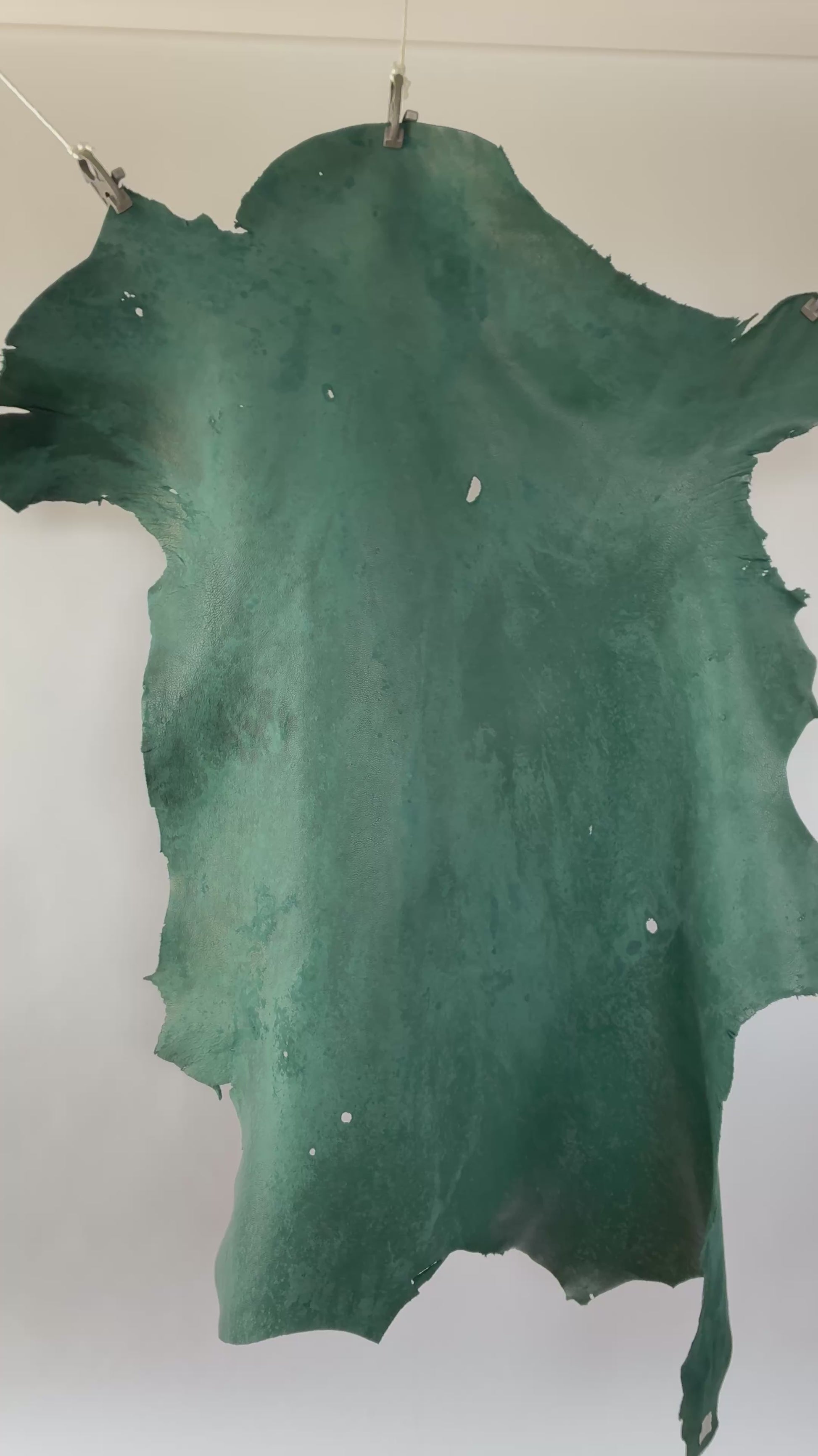 A001_5.MOV